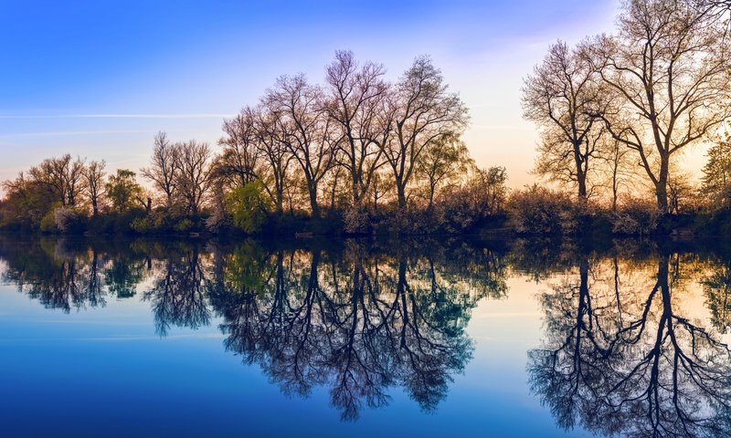 Обои небо, деревья, озеро, природа, отражение, the sky, trees, lake, nature, reflection разрешение 7680x4270 Загрузить