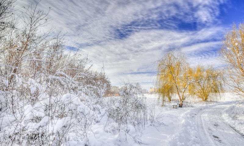 Обои дорога, деревья, снег, зима, пейзаж, road, trees, snow, winter, landscape разрешение 2560x1600 Загрузить