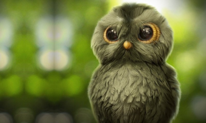 Обои арт, сова, зеленый фон, детская, ahmad merheb, art, owl, green background, children's разрешение 2600x1619 Загрузить