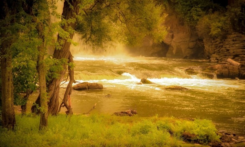 Обои трава, деревья, река, скалы, природа, берег, лес, grass, trees, river, rocks, nature, shore, forest разрешение 1920x1080 Загрузить