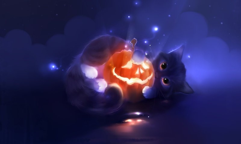 Обои арт, кот, мордочка, кошка, котенок, хеллоуин, тыква, art, cat, muzzle, kitty, halloween, pumpkin разрешение 1920x1080 Загрузить