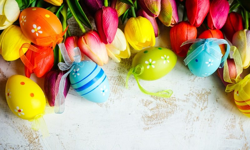 Обои цветы, весна, тюльпаны, пасха, праздник, крашеные яйца, flowers, spring, tulips, easter, holiday разрешение 6000x4000 Загрузить