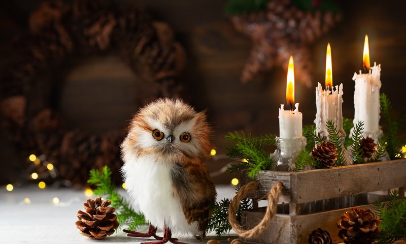 Обои сова, птица, снег, праздник, свечи, рождество, шишки, новый год, ящик, елка, совенок, хвоя, композиция, ветки, игрушка, owl, bird, snow, holiday, christmas, candles, bumps, new year, box, tree, owlet, needles, composition, branches, toy разрешение 5129x3356 Загрузить