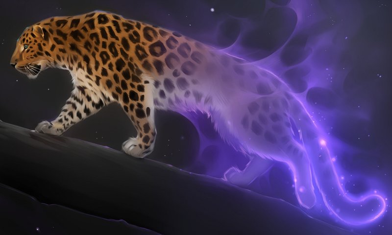 Обои арт, фэнтези, леопард, большая кошка, ночь звезды, art, fantasy, leopard, big cat, night star разрешение 2112x1188 Загрузить