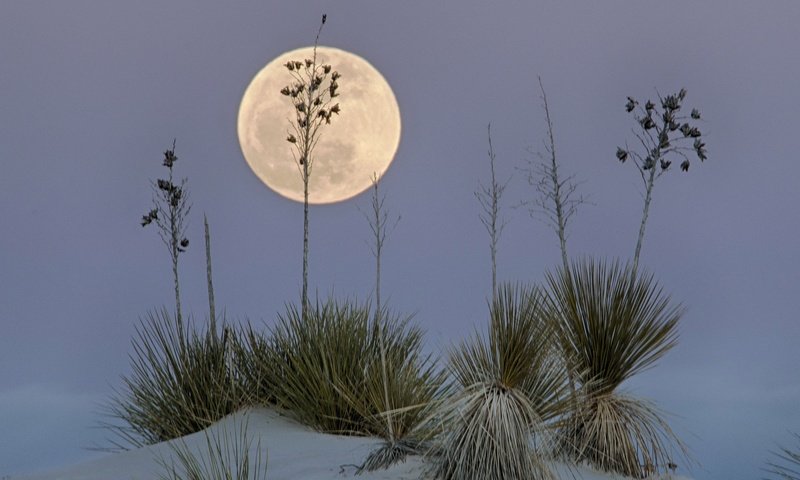 Обои пустыня, луна, сша, нью-мексико, белый песок, white sands national monume, desert, the moon, usa, new mexico, white sand разрешение 2047x1497 Загрузить