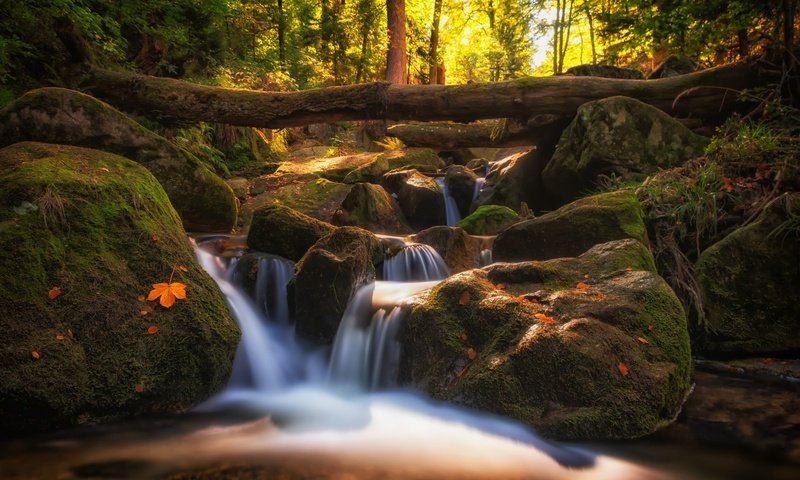 Обои деревья, природа, камни, листья, пейзаж, водопад, осень, речушка, trees, nature, stones, leaves, landscape, waterfall, autumn, river разрешение 4000x2479 Загрузить