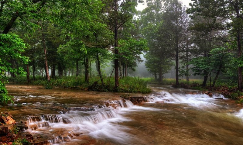 Обои деревья, река, природа, лес, туман, сша, миссури, trees, river, nature, forest, fog, usa, missouri разрешение 2048x1343 Загрузить