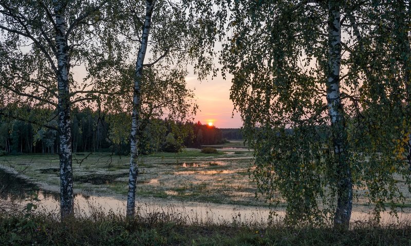 Обои деревья, река, природа, закат, пейзаж, леса, trees, river, nature, sunset, landscape, forest разрешение 2278x1520 Загрузить