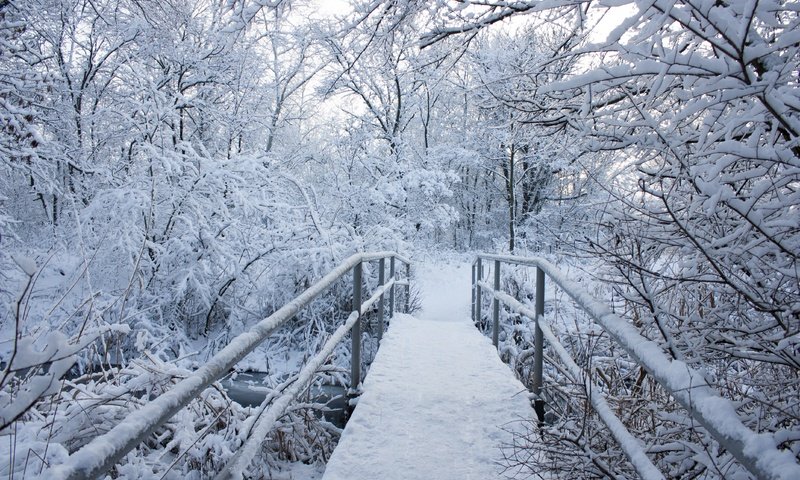 Обои деревья, снег, природа, зима, пейзаж, мост, trees, snow, nature, winter, landscape, bridge разрешение 4272x2848 Загрузить