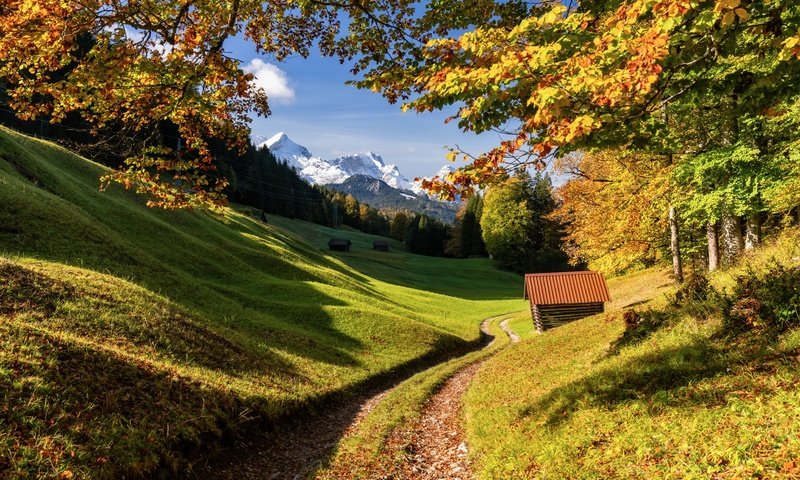 Обои дорога, деревья, горы, лес, осень, германия, бавария, road, trees, mountains, forest, autumn, germany, bayern разрешение 6144x4096 Загрузить