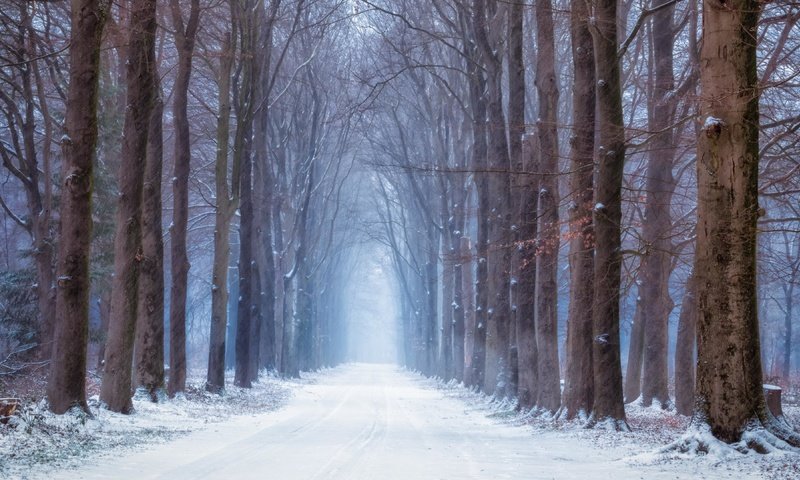 Обои дорога, лес, зима, road, forest, winter разрешение 3840x2160 Загрузить