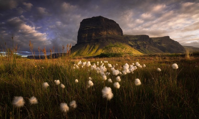 Обои горы, скалы, поле, луг, mountains, rocks, field, meadow разрешение 2048x1362 Загрузить