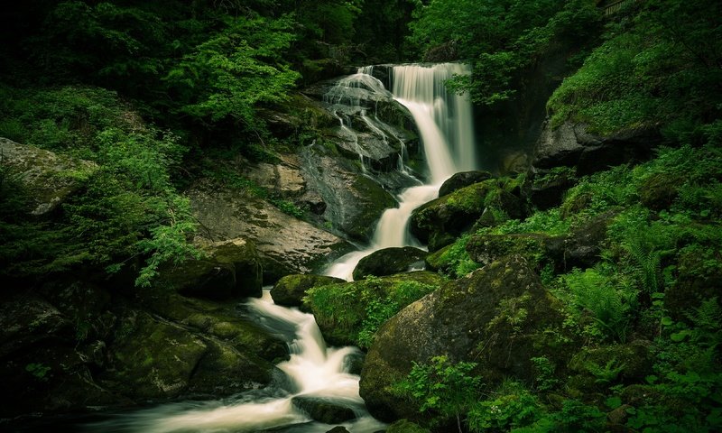 Обои камни, лес, водопад, валуны, stones, forest, waterfall, boulders разрешение 3840x2160 Загрузить