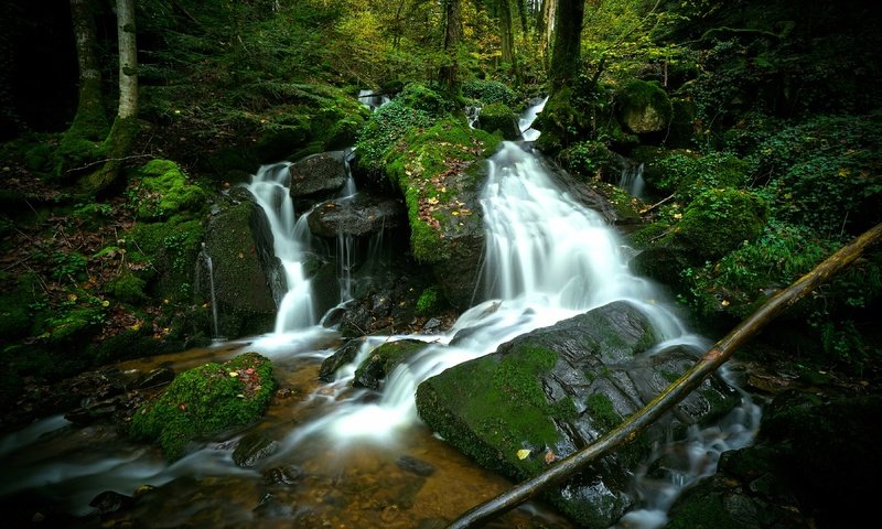 Обои камни, лес, водопад, stones, forest, waterfall разрешение 3840x2160 Загрузить