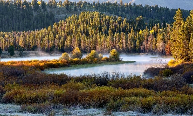 Обои лес, туман, forest, fog разрешение 2048x1300 Загрузить