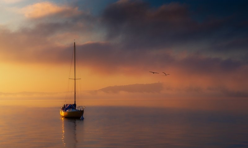 Обои море, лодка, чайки, sea, boat, seagulls разрешение 2500x1406 Загрузить