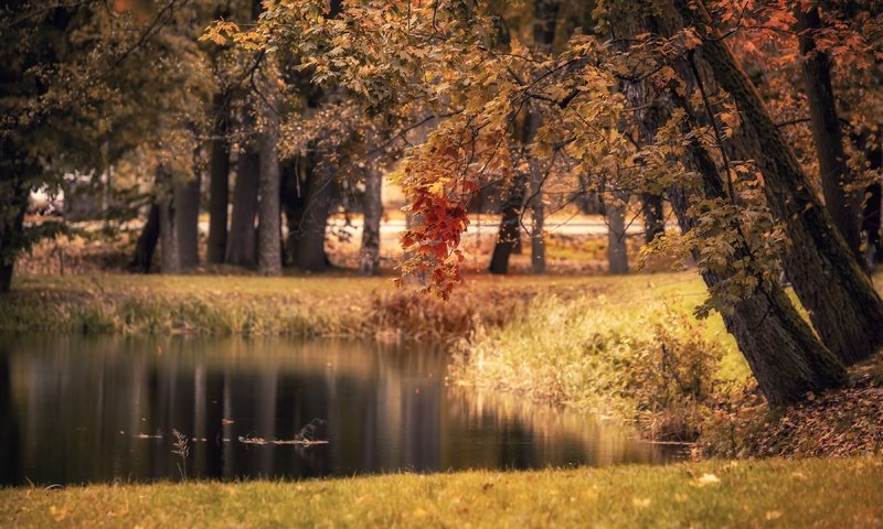 Обои озеро, парк, осень, lake, park, autumn разрешение 3840x2160 Загрузить