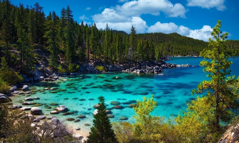 Обои озеро, природа, камни, пейзаж, сша, леса, берега, озеро тахо, lake, nature, stones, landscape, usa, forest, bank, lake tahoe разрешение 2048x1365 Загрузить