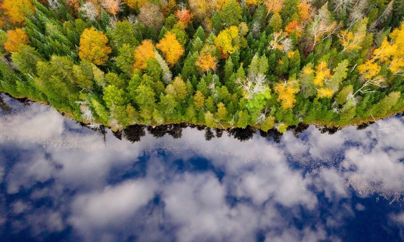 Обои река, лес, отражение, осень, river, forest, reflection, autumn разрешение 3000x1999 Загрузить