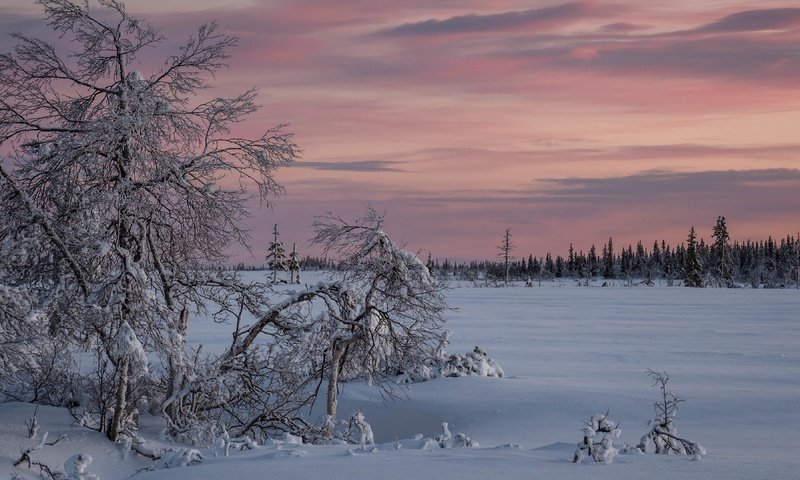 Обои снег, закат, зима, snow, sunset, winter разрешение 3840x2160 Загрузить