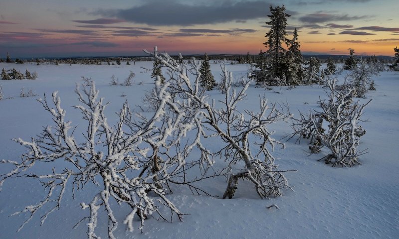 Обои снег, закат, snow, sunset разрешение 3840x2160 Загрузить