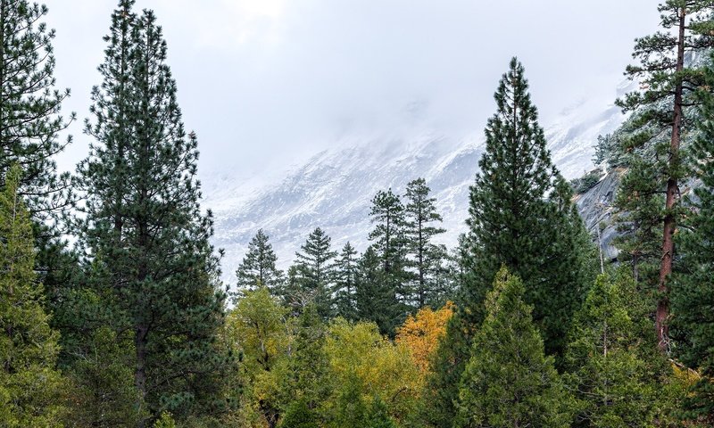 Обои сша, йосемити, национальный парк, сьерра-невада, usa, yosemite, national park, sierra nevada разрешение 2048x1365 Загрузить