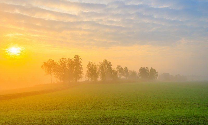 Обои туман, поле, лето, fog, field, summer разрешение 3840x2160 Загрузить