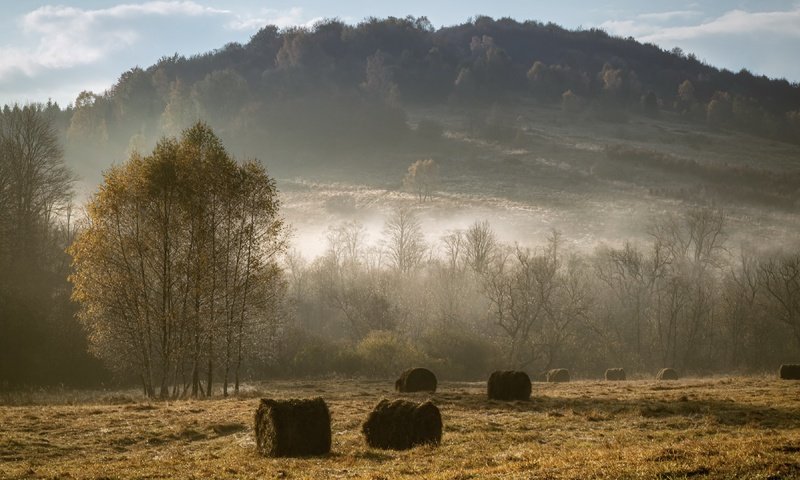 Обои туман, поле, сено, осень, fog, field, hay, autumn разрешение 3840x2160 Загрузить