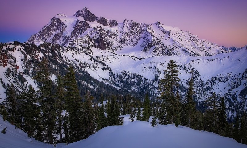 Обои деревья, горы, снег, закат, каскадные горы, штате вашингтон, cascade range, гора шуксан, trees, mountains, snow, sunset, the cascade mountains, washington state, mountain shuksan разрешение 2000x1334 Загрузить