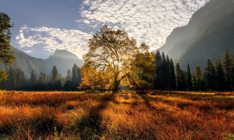 Обои деревья, горы, trees, mountains разрешение 2048x1365 Загрузить