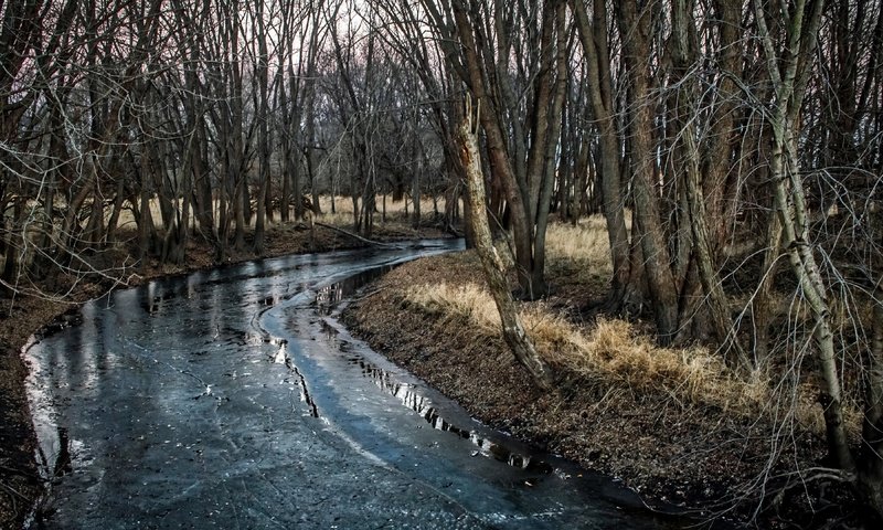 Обои деревья, река, природа, trees, river, nature разрешение 3840x2160 Загрузить