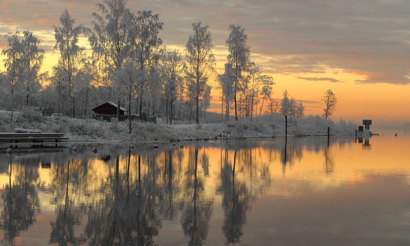 Обои деревья, река, снег, зима, закат солнца, швеция, trees, river, snow, winter, sunset, sweden разрешение 5120x2880 Загрузить