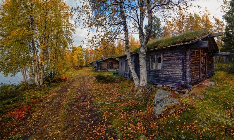 Обои дорога, дом, деревья, домик, окно, берег, листопад, лес, березы, листва, осень, водоем, road, house, trees, window, shore, falling leaves, forest, birch, foliage, autumn, pond разрешение 3072x1728 Загрузить