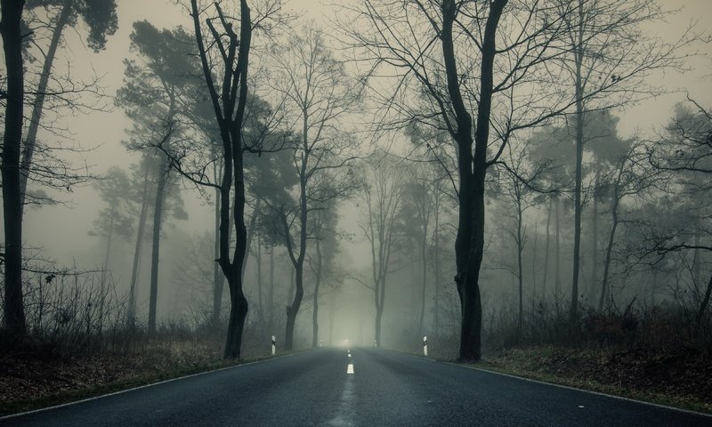 Обои дорога, деревья, парк, туман, ветки, осень, пасмурно, шоссе, road, trees, park, fog, branches, autumn, overcast, highway разрешение 3840x2160 Загрузить