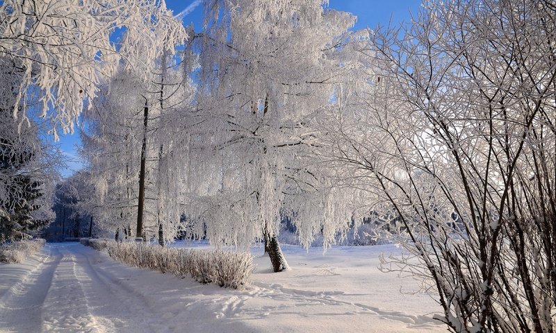 Обои дорога, деревья, снег, природа, зима, ветки, иней, колея, road, trees, snow, nature, winter, branches, frost, track разрешение 3840x2160 Загрузить