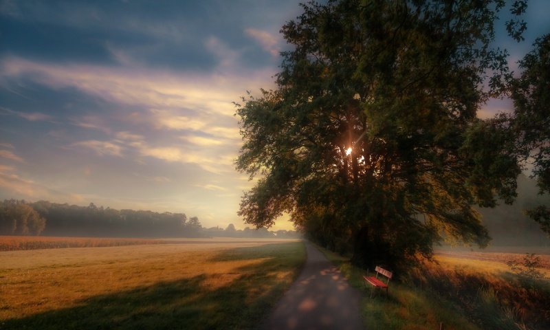 Обои дорога, утро, туман, скамья, road, morning, fog, bench разрешение 3840x2160 Загрузить