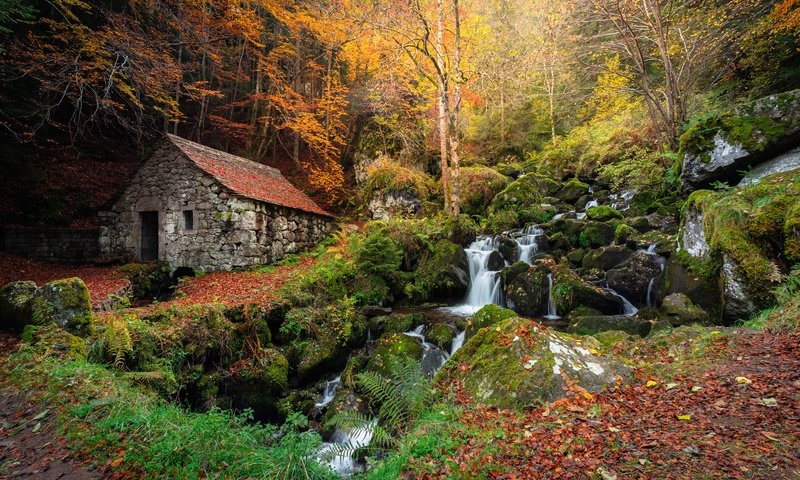 Обои лес, склон, водопад, осень, домик, forest, slope, waterfall, autumn, house разрешение 5910x3940 Загрузить