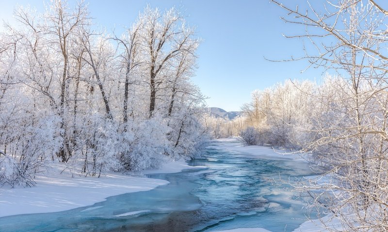 Обои небо, иней, деревья, берега, река, снег, природа, лес, зима, ветки, the sky, frost, trees, bank, river, snow, nature, forest, winter, branches разрешение 2048x1375 Загрузить