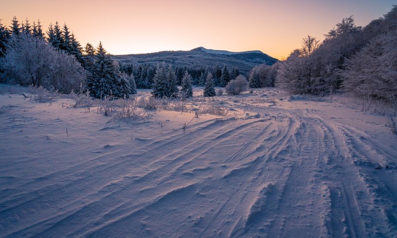 Обои небо, ели, дорога, вечер, горы, снег, лес, зима, ветки, the sky, ate, road, the evening, mountains, snow, forest, winter, branches разрешение 7480x4989 Загрузить