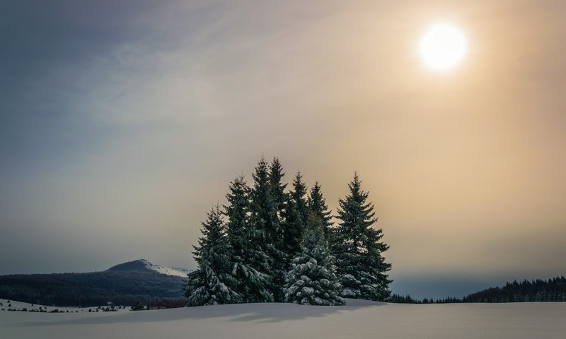 Обои небо, горы, солнце, снег, лес, зима, ели, the sky, mountains, the sun, snow, forest, winter, ate разрешение 6000x4000 Загрузить