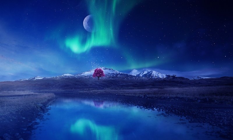 Обои небо, ночь, дерево, северное сияние, рендеринг, the sky, night, tree, northern lights, rendering разрешение 1920x1080 Загрузить