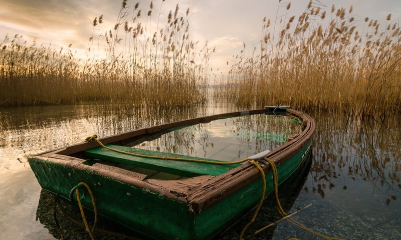 Обои озеро, лодка, камыш, lake, boat, reed разрешение 1920x1300 Загрузить