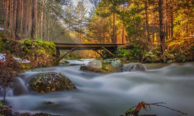 Обои река, камни, лес, мост, поток, river, stones, forest, bridge, stream разрешение 1984x1244 Загрузить