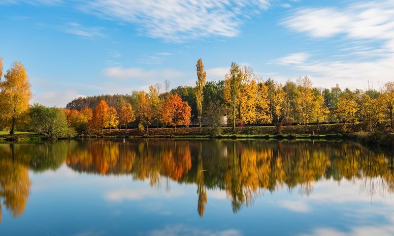 Обои облака, набережная, озеро, водная гладь, берег, синева, лес, золотая осень, отражение, парк, осень, водоем, clouds, promenade, lake, water surface, shore, blue, forest, golden autumn, reflection, park, autumn, pond разрешение 3840x2160 Загрузить