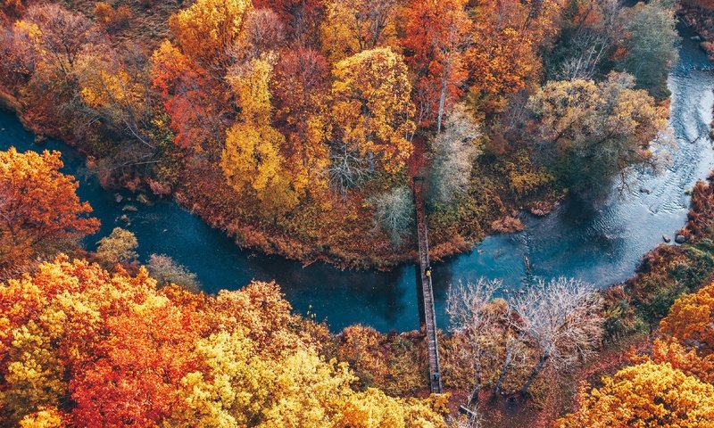 Обои река, парк, осень, river, park, autumn разрешение 3840x2160 Загрузить