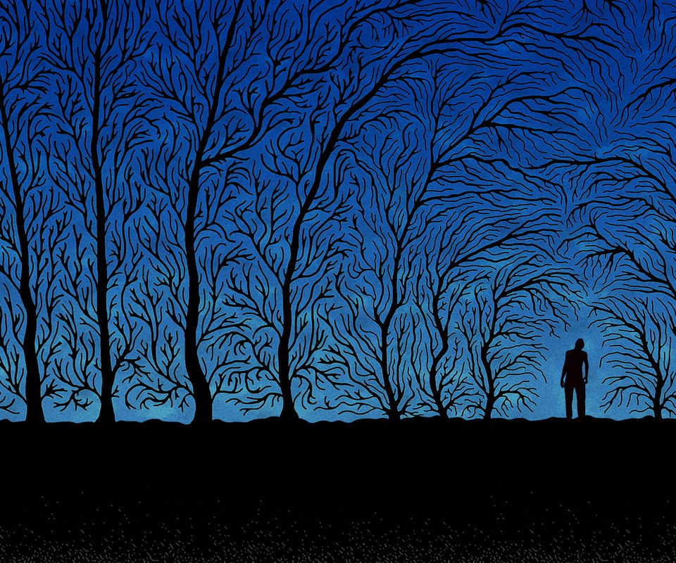 Обои деревья, синий, ветки, человек, черный, trees, blue, branches, people, black разрешение 2560x1600 Загрузить