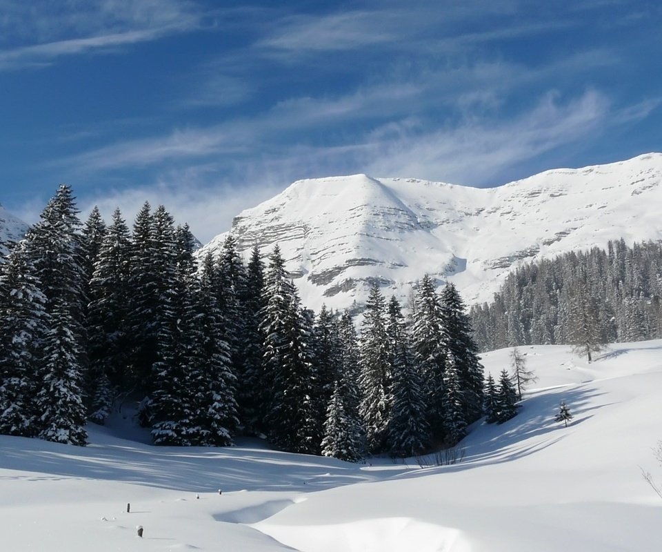 Обои горы, снег, лес, зима, mountains, snow, forest, winter разрешение 1920x1080 Загрузить