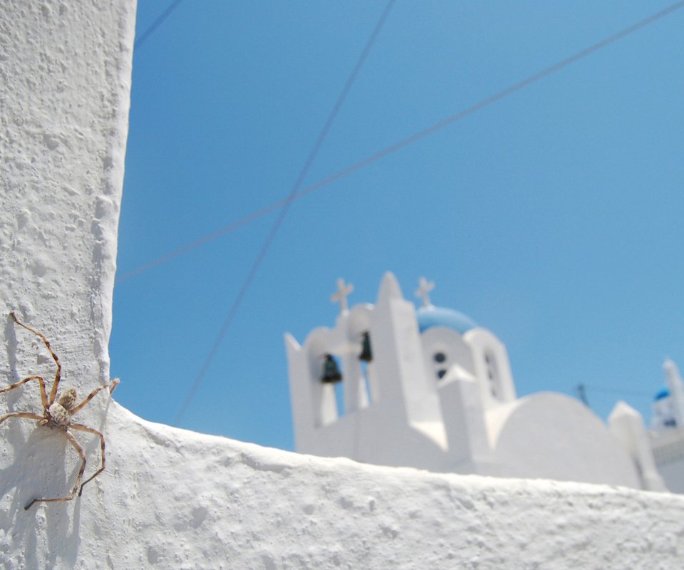 Обои небо, синий, белый, церковь, паук, санторини, the sky, blue, white, church, spider, santorini разрешение 2560x1600 Загрузить