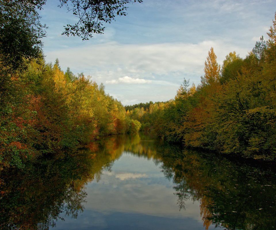 Обои облака, деревья, вода, лес, clouds, trees, water, forest разрешение 1920x1200 Загрузить