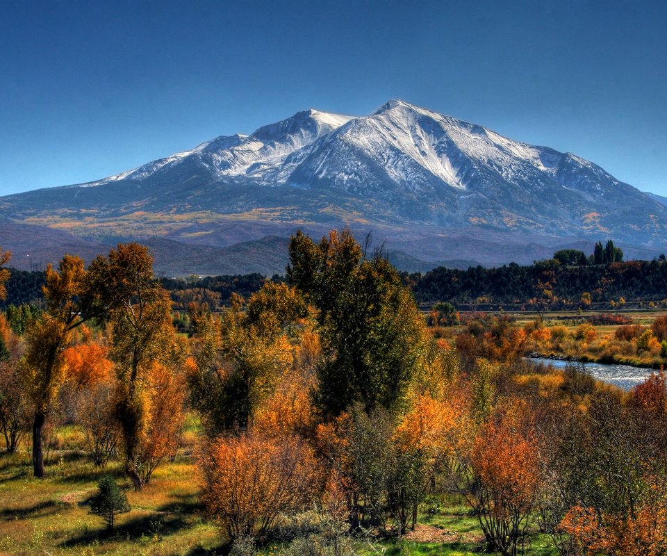 Обои деревья, гора, осень, trees, mountain, autumn разрешение 2560x1600 Загрузить